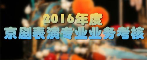 吃摸舔你的逼国家京剧院2016年度京剧表演专业业务考...